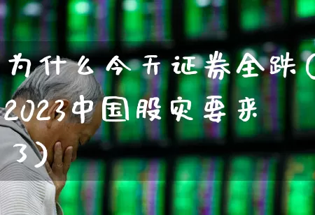 为什么今天证券全跌(2023中国股灾要来了)_https://www.xzdzcjn.com_深交所_第1张