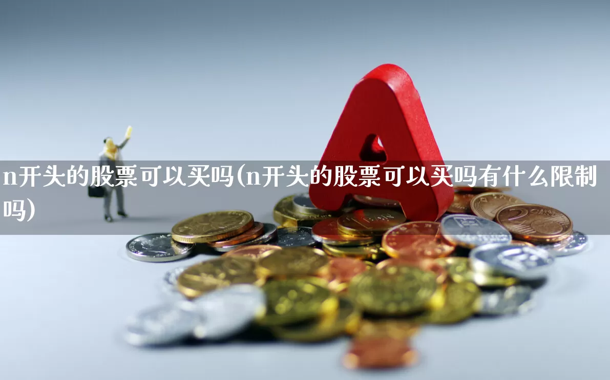 n开头的股票可以买吗(n开头的股票可以买吗有什么限制吗)_https://www.xzdzcjn.com_深交所_第1张