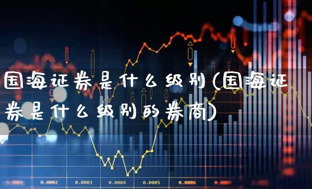 国海证券是什么级别(国海证券是什么级别的券商)_https://www.xzdzcjn.com_上交所_第1张