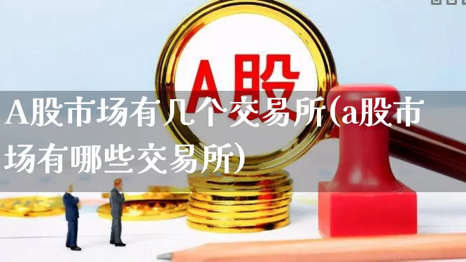 A股市场有几个交易所(a股市场有哪些交易所)_https://www.xzdzcjn.com_北交所_第1张