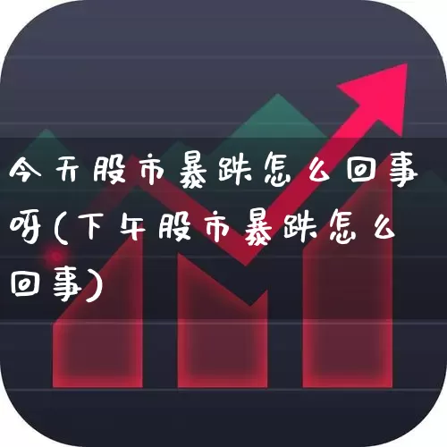 今天股市暴跌怎么回事呀(下午股市暴跌怎么回事)_https://www.xzdzcjn.com_上交所_第1张