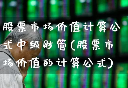 股票市场价值计算公式中级财管(股票市场价值的计算公式)_https://www.xzdzcjn.com_北交所_第1张