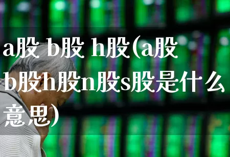 a股 b股 h股(a股b股h股n股s股是什么意思)_https://www.xzdzcjn.com_北交所_第1张