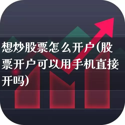 想炒股票怎么开户(股票开户可以用手机直接开吗)_https://www.xzdzcjn.com_上交所_第1张
