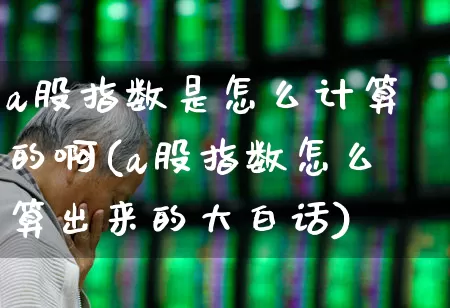 a股指数是怎么计算的啊(a股指数怎么算出来的大白话)_https://www.xzdzcjn.com_上交所_第1张