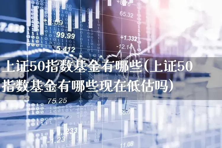 上证50指数基金有哪些(上证50指数基金有哪些现在低估吗)_https://www.xzdzcjn.com_上交所_第1张