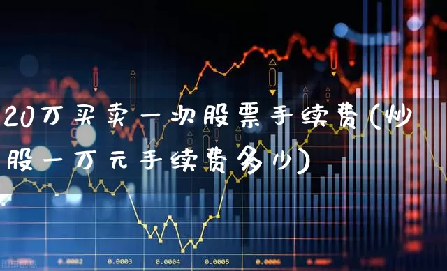 20万买卖一次股票手续费(炒股一万元手续费多少)_https://www.xzdzcjn.com_深交所_第1张