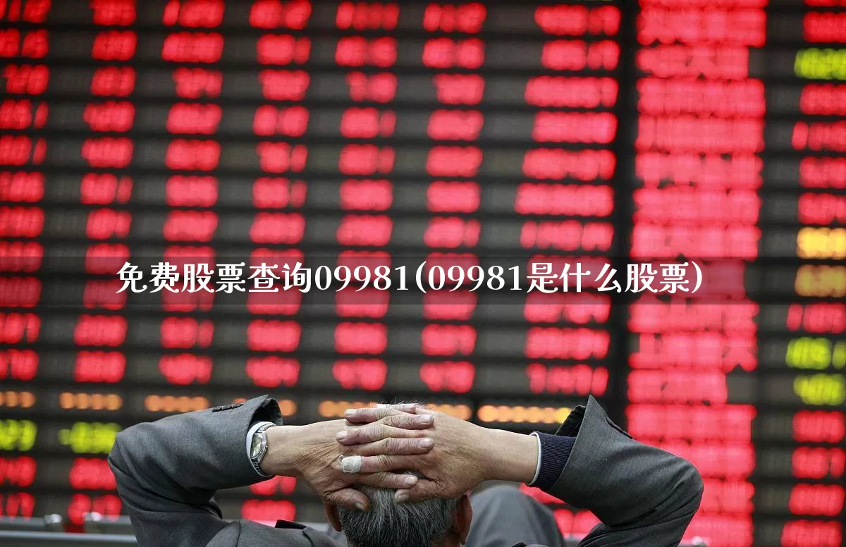 免费股票查询09981(09981是什么股票)_https://www.xzdzcjn.com_上交所_第1张