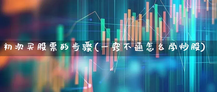初次买股票的步骤(一窍不通怎么学炒股)_https://www.xzdzcjn.com_上交所_第1张