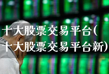 十大股票交易平台(十大股票交易平台新)_https://www.xzdzcjn.com_上交所_第1张