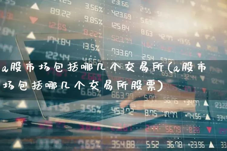 a股市场包括哪几个交易所(a股市场包括哪几个交易所股票)_https://www.xzdzcjn.com_科创板_第1张