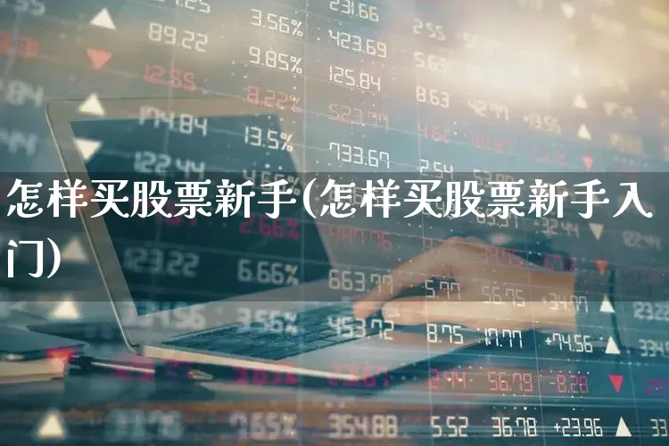 怎样买股票新手(怎样买股票新手入门)_https://www.xzdzcjn.com_创业板_第1张