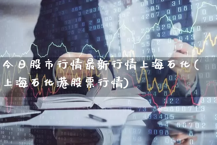 今日股市行情最新行情上海石化(上海石化港股票行情)_https://www.xzdzcjn.com_北交所_第1张