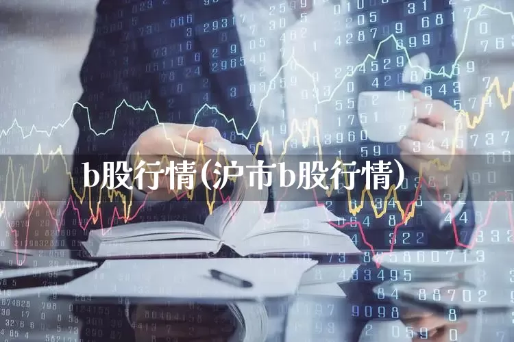 b股行情(沪市b股行情)_https://www.xzdzcjn.com_北交所_第1张