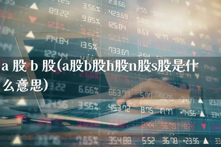 a 股 b 股(a股b股h股n股s股是什么意思)_https://www.xzdzcjn.com_北交所_第1张