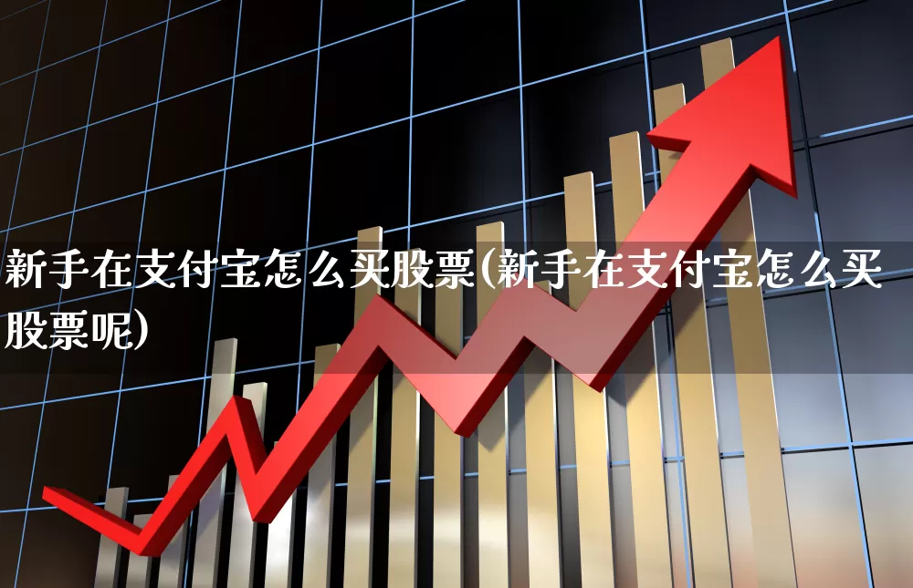 新手在支付宝怎么买股票(新手在支付宝怎么买股票呢)_https://www.xzdzcjn.com_创业板_第1张