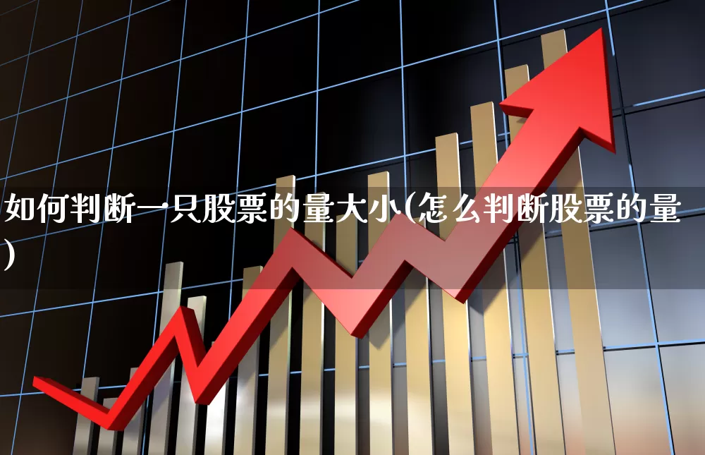 如何判断一只股票的量大小(怎么判断股票的量)_https://www.xzdzcjn.com_上交所_第1张