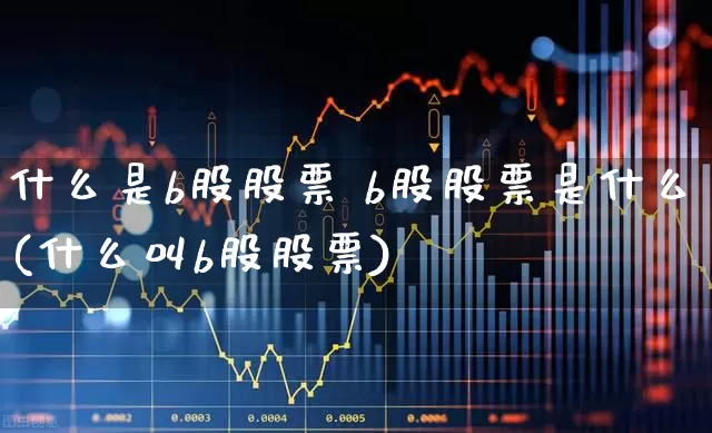 什么是b股股票 b股股票是什么(什么叫b股股票)_https://www.xzdzcjn.com_科创板_第1张