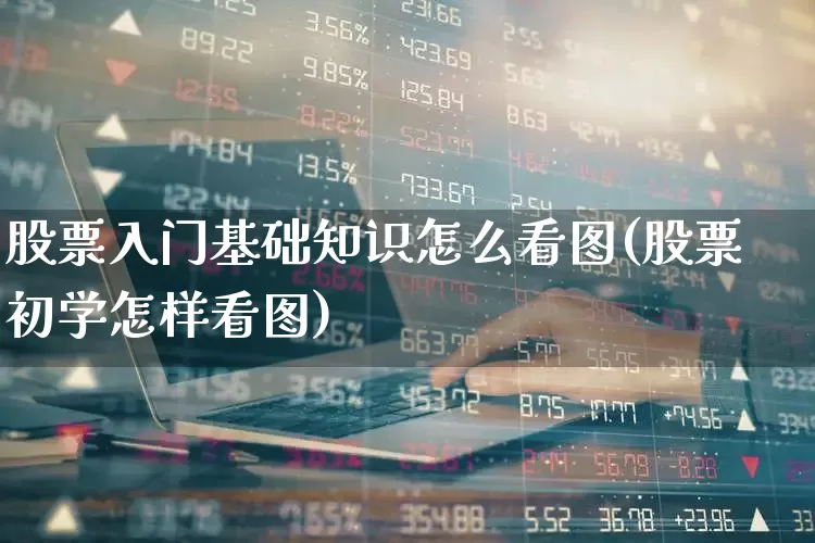 股票入门基础知识怎么看图(股票初学怎样看图)_https://www.xzdzcjn.com_上交所_第1张