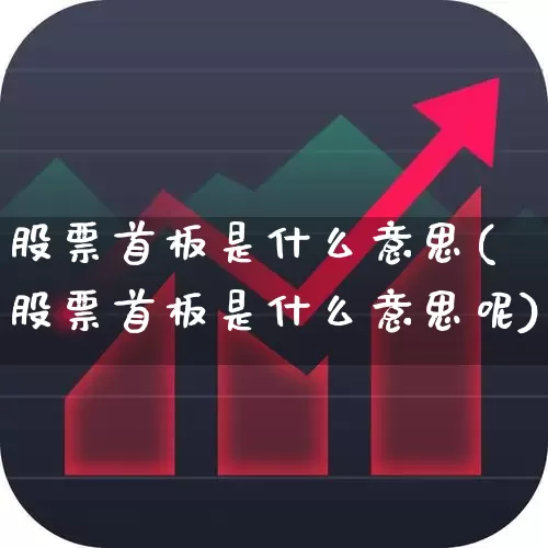 股票首板是什么意思(股票首板是什么意思呢)_https://www.xzdzcjn.com_上交所_第1张
