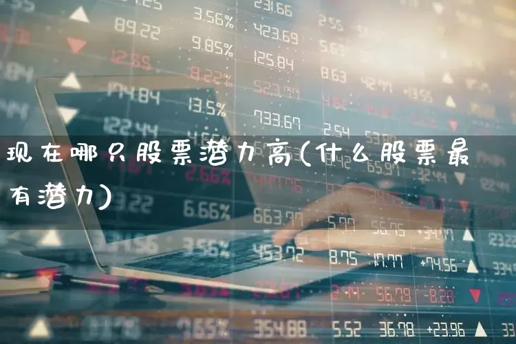 现在哪只股票潜力高(什么股票最有潜力)_https://www.xzdzcjn.com_创业板_第1张