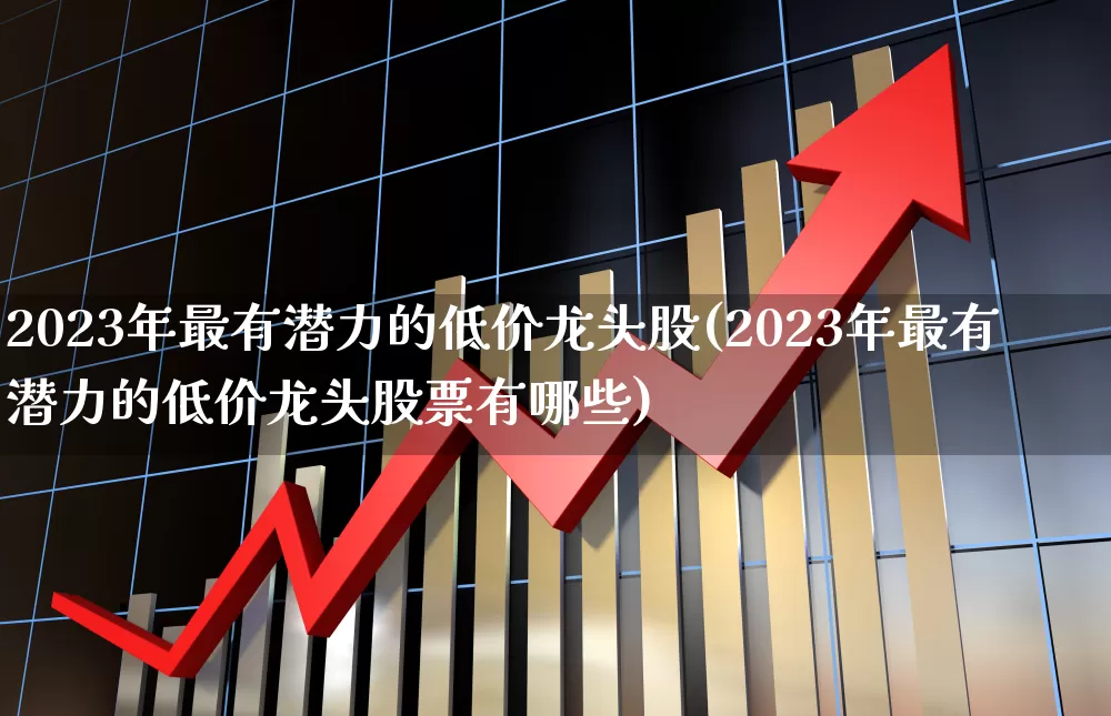 2023年最有潜力的低价龙头股(2023年最有潜力的低价龙头股票有哪些)_https://www.xzdzcjn.com_深交所_第1张