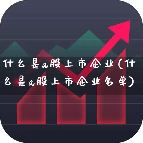 什么是a股上市企业(什么是a股上市企业名单)_https://www.xzdzcjn.com_北交所_第1张