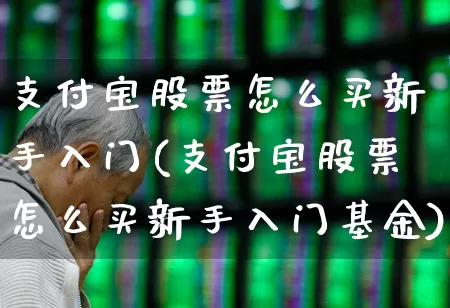 支付宝股票怎么买新手入门(支付宝股票怎么买新手入门基金)_https://www.xzdzcjn.com_创业板_第1张