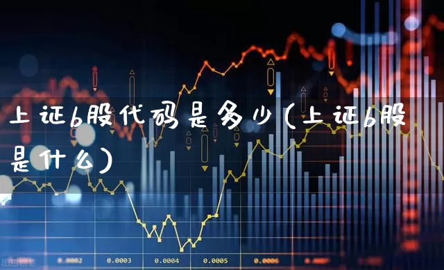 上证b股代码是多少(上证b股是什么)_https://www.xzdzcjn.com_深交所_第1张