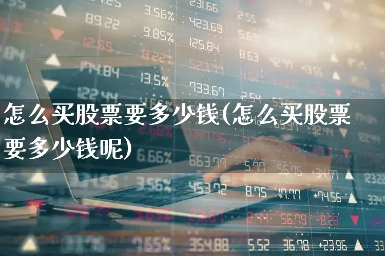 怎么买股票要多少钱(怎么买股票要多少钱呢)_https://www.xzdzcjn.com_北交所_第1张