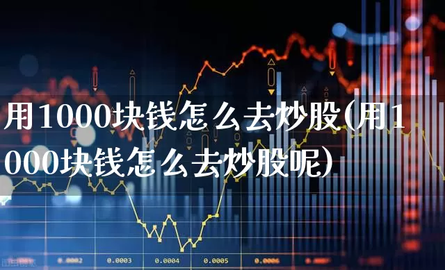 用1000块钱怎么去炒股(用1000块钱怎么去炒股呢)_https://www.xzdzcjn.com_创业板_第1张