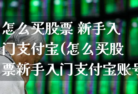 怎么买股票 新手入门支付宝(怎么买股票新手入门支付宝账号呢)_https://www.xzdzcjn.com_深交所_第1张