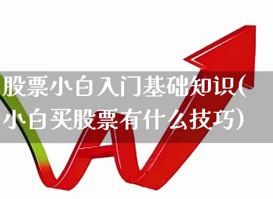 股票小白入门基础知识(小白买股票有什么技巧)_https://www.xzdzcjn.com_北交所_第1张