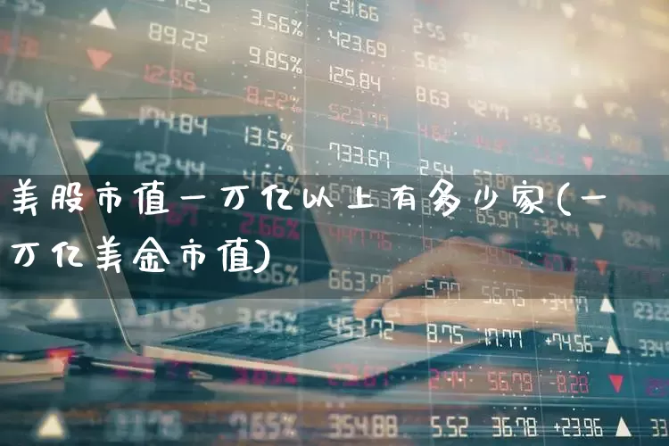 美股市值一万亿以上有多少家(一万亿美金市值)_https://www.xzdzcjn.com_创业板_第1张