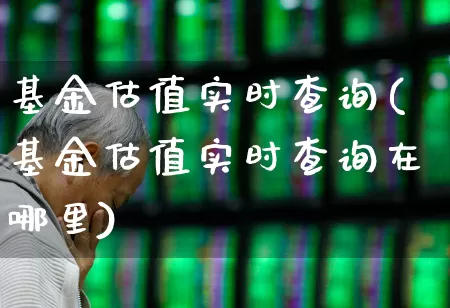 基金估值实时查询(基金估值实时查询在哪里)_https://www.xzdzcjn.com_深交所_第1张