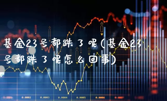 基金23号都跌了呢(基金23号都跌了呢怎么回事)_https://www.xzdzcjn.com_创业板_第1张