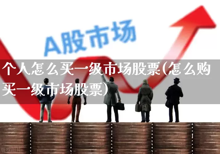 个人怎么买一级市场股票(怎么购买一级市场股票)_https://www.xzdzcjn.com_创业板_第1张