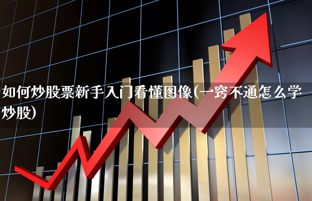 如何炒股票新手入门看懂图像(一窍不通怎么学炒股)_https://www.xzdzcjn.com_科创板_第1张