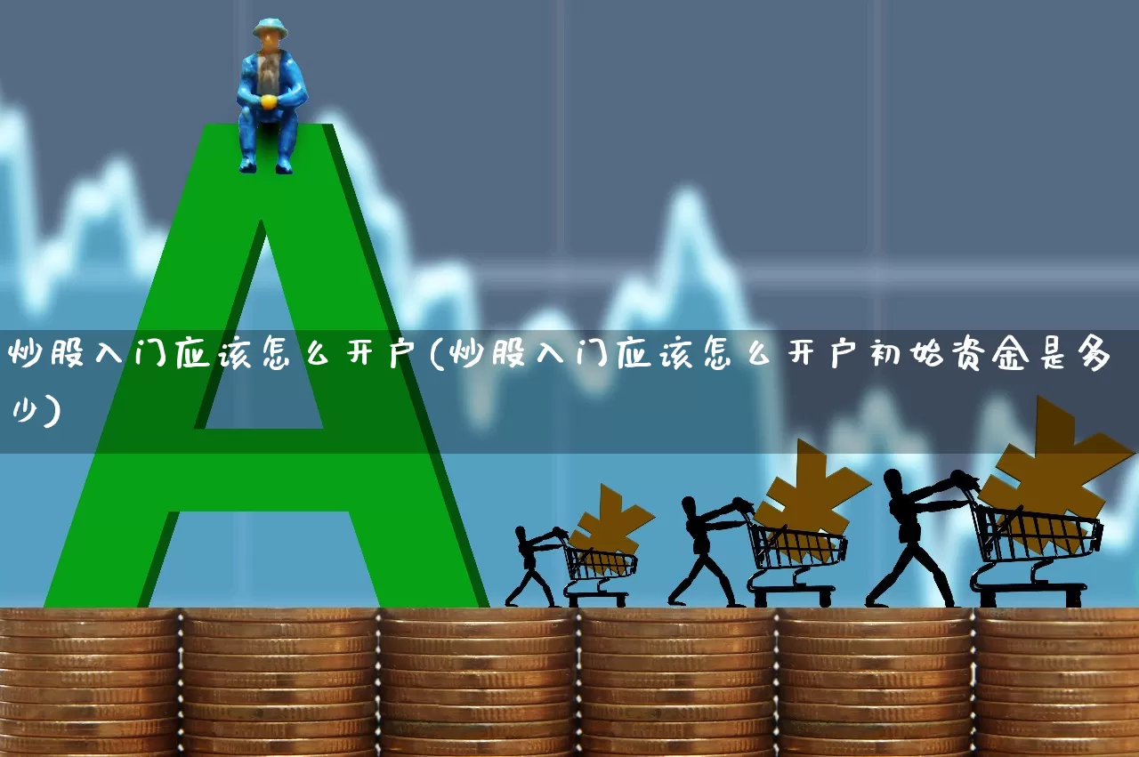 炒股入门应该怎么开户(炒股入门应该怎么开户初始资金是多少)_https://www.xzdzcjn.com_创业板_第1张
