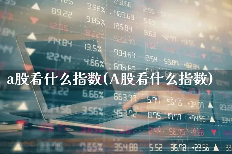 a股看什么指数(A股看什么指数)_https://www.xzdzcjn.com_科创板_第1张