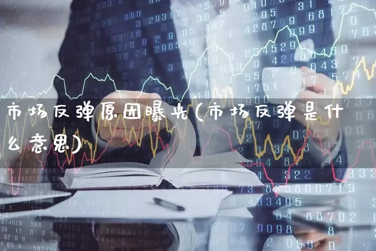 市场反弹原因曝光(市场反弹是什么意思)_https://www.xzdzcjn.com_上交所_第1张