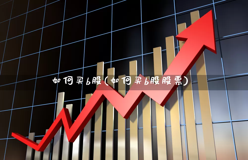 如何买b股(如何买b股股票)_https://www.xzdzcjn.com_上交所_第1张