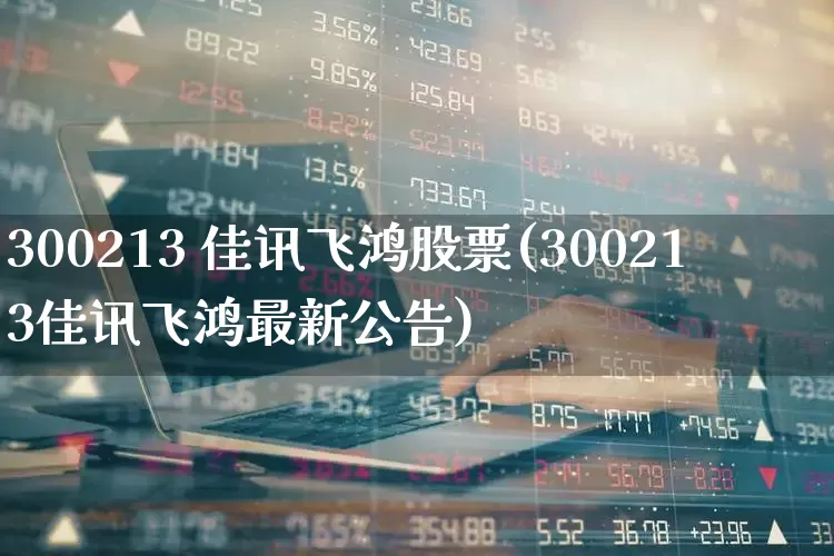 300213 佳讯飞鸿股票(300213佳讯飞鸿最新公告)_https://www.xzdzcjn.com_上交所_第1张