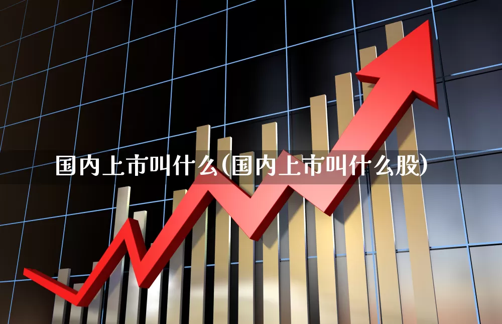 国内上市叫什么(国内上市叫什么股)_https://www.xzdzcjn.com_北交所_第1张
