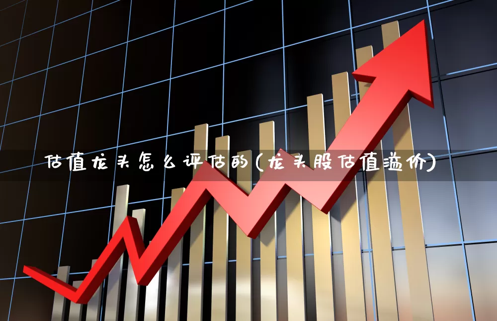 估值龙头怎么评估的(龙头股估值溢价)_https://www.xzdzcjn.com_上交所_第1张