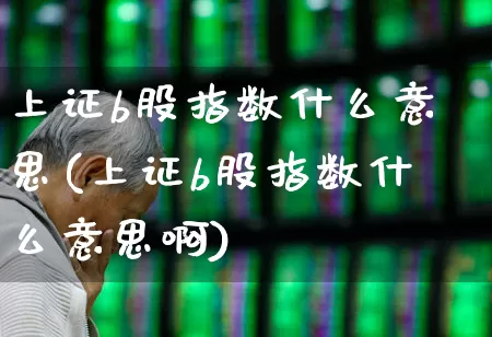 上证b股指数什么意思(上证b股指数什么意思啊)_https://www.xzdzcjn.com_北交所_第1张