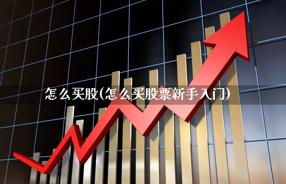 怎么买股(怎么买股票新手入门)_https://www.xzdzcjn.com_创业板_第1张