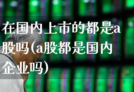 在国内上市的都是a股吗(a股都是国内企业吗)_https://www.xzdzcjn.com_创业板_第1张