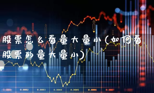 股票怎么看量大量小(如何看股票的量大量小)_https://www.xzdzcjn.com_北交所_第1张