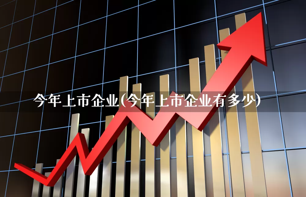 今年上市企业(今年上市企业有多少)_https://www.xzdzcjn.com_上交所_第1张